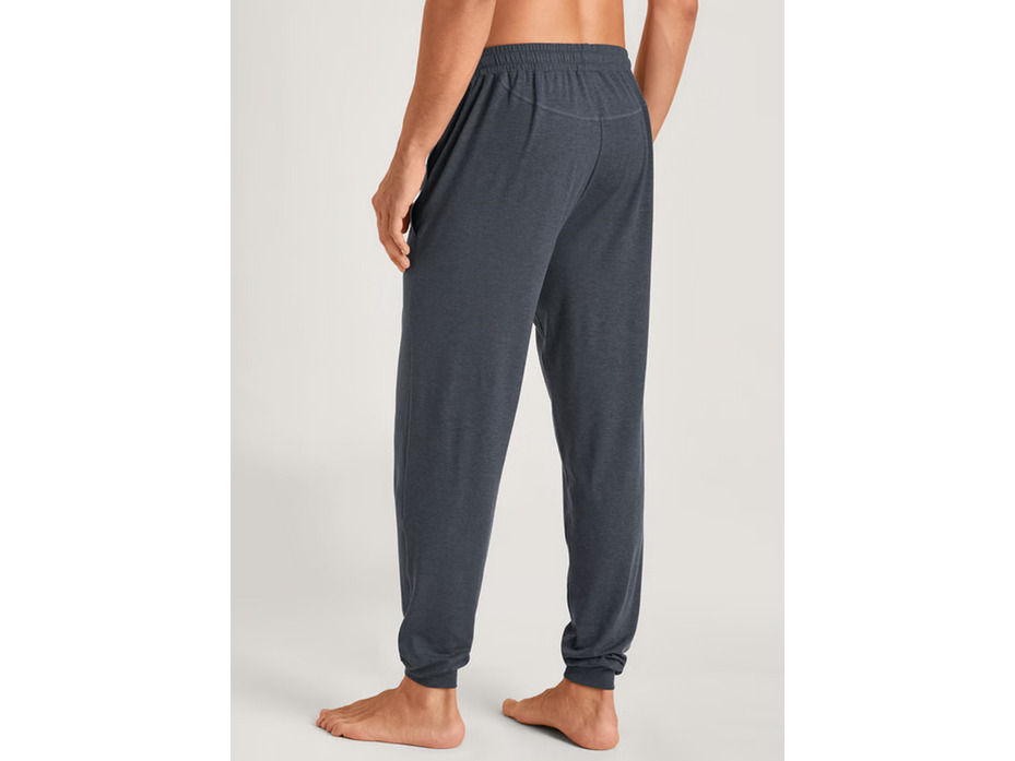 Брюки мужские 29988 (989) Dsw Warming / Calida