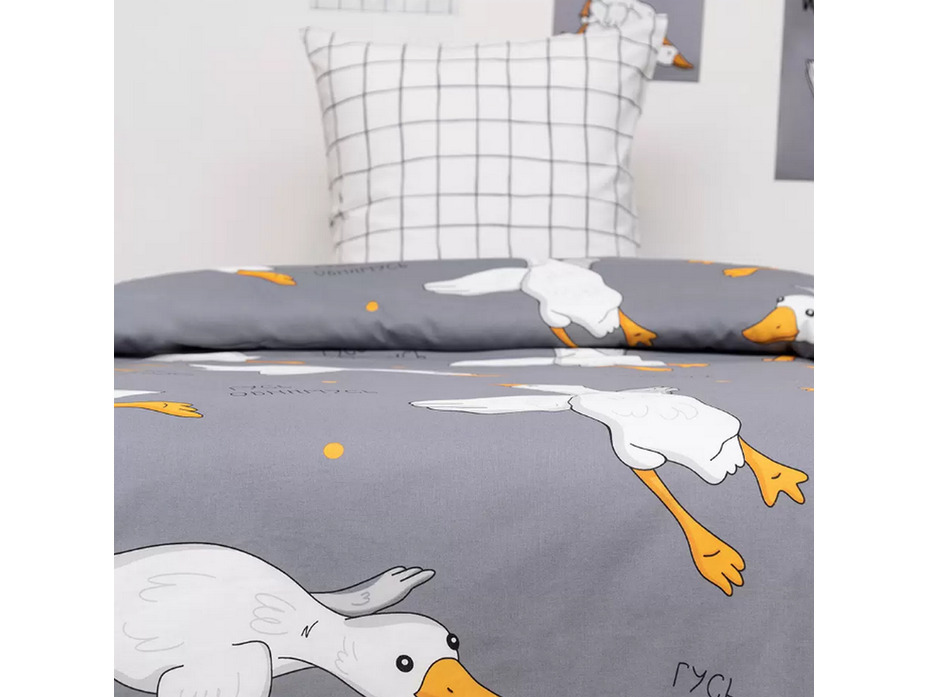 Постельное белье 500192 (24) Гусландия перкаль 1,5 сп / Василиса