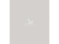 Постельное белье Дождливый день фланель-премиум 1,5 сп / Реверанс