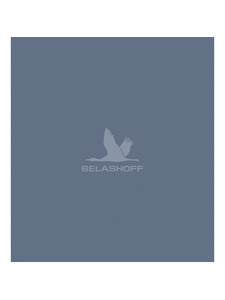 Постельное белье Ниагара фланель-премиум 2 сп / Реверанс