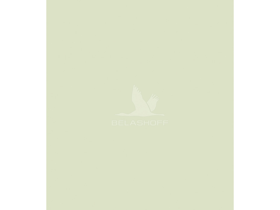 Постельное белье Холодный авокадо фланель-премиум Евро сп / Реверанс