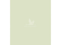 Постельное белье Холодный авокадо фланель-премиум Евро сп / Реверанс