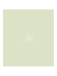 Постельное белье Холодный авокадо фланель-премиум Евро сп / Реверанс