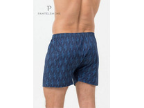 Трусы мужские PMB-446 / Pantelemone