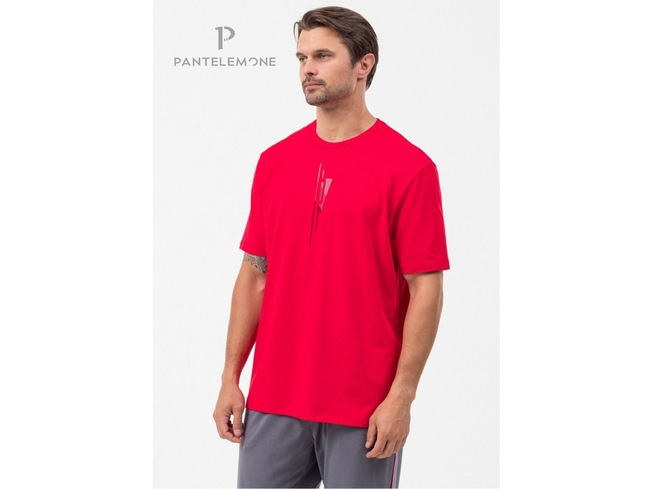 Пижама мужская, футболка и брюки PDK-370 / Pantelemone