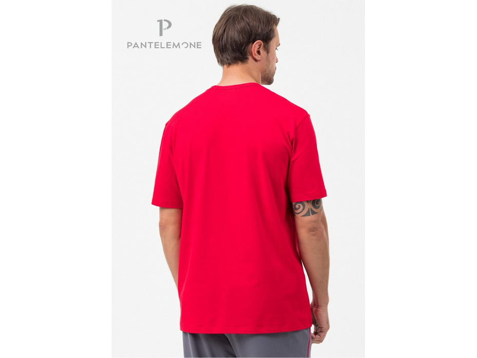 Пижама мужская, футболка и брюки PDK-370 / Pantelemone