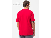 Пижама мужская, футболка и брюки PDK-370 / Pantelemone