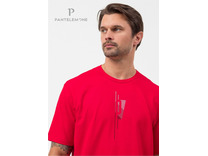 Пижама мужская, футболка и брюки PDK-370 / Pantelemone