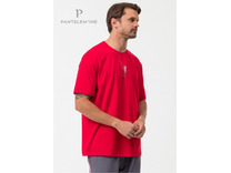 Пижама мужская, футболка и брюки PDK-370 / Pantelemone