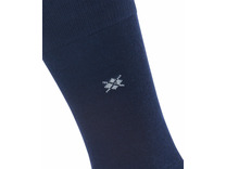 Носки мужские 21075 (6120) Dublin SO / Burlington