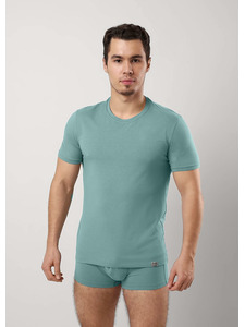 Футболка мужская MF608311 / Clever