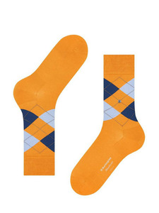 Носки мужские 21088 (8925) Manchester SO / Burlington