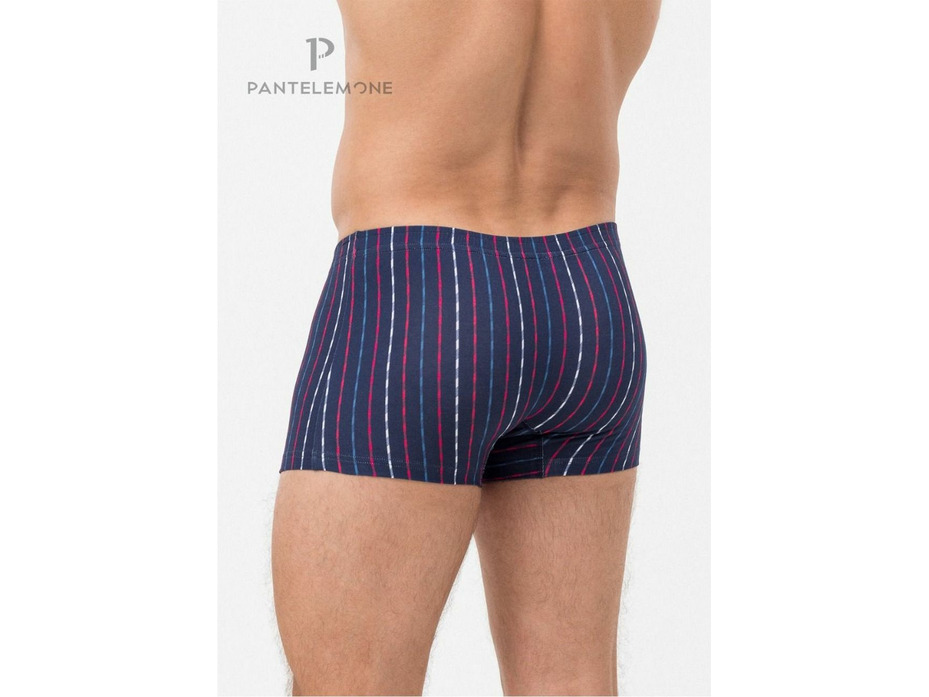 Трусы мужские PMHB-1475 / Pantelemone Трусы мужские PMHB-1475 / Pantelemone