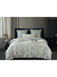 Постельное белье 2261-6 сатин премиум Евро сп / Asabella