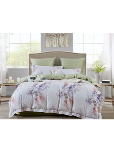 Постельное белье 2369-6 сатин премиум Евро сп / Asabella