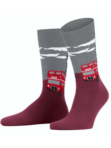 Носки мужские 24719 (8010) London SO / Burlington