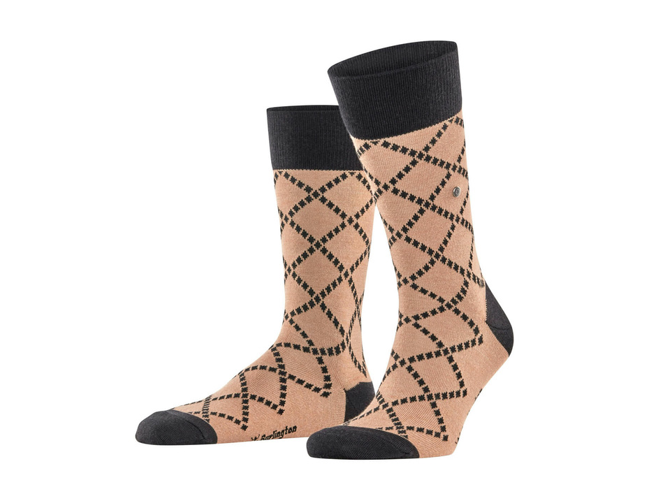 Носки мужские 21209 (5038) Ferry Road SO / Burlington