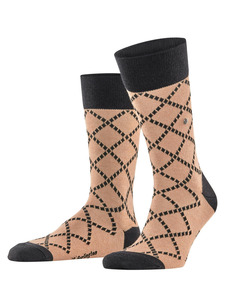 Носки мужские 21209 (5038) Ferry Road SO / Burlington