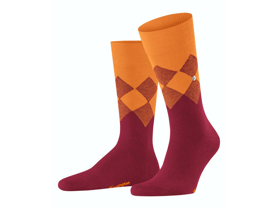 Носки мужские 21912 (8033) Hampstead SO / Burlington