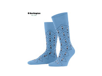 Носки мужские 21204 (6541) Big Ben SO / Burlington