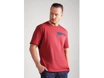 Пижама мужская. футболка и шорты MHP560413/1 / Clever