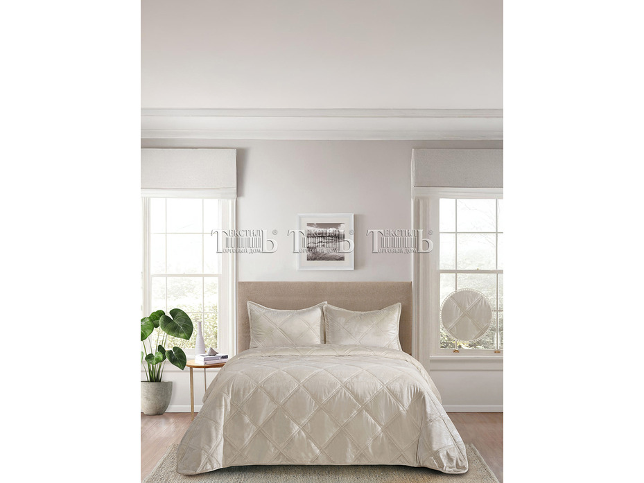 Покрывало с наволочками XH V6 Romance велюровое (230*250, 50*70 2 шт) / ТД Текстиль