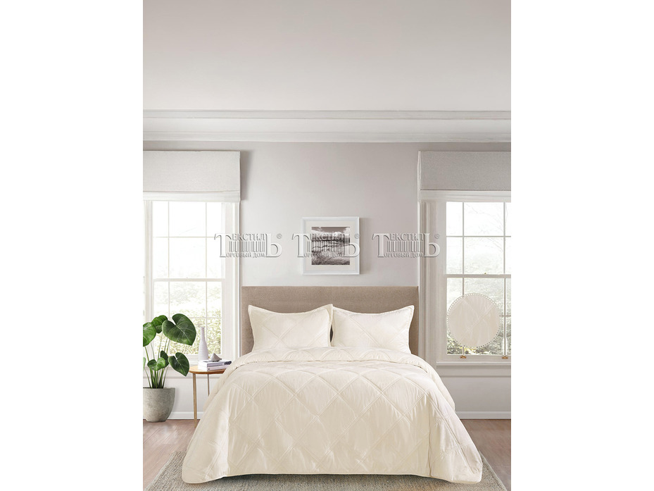 Покрывало с наволочками XH V6 Romance велюровое (230*250, 50*70 2 шт) / ТД Текстиль