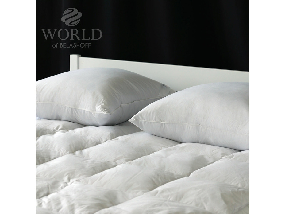 Одеяло WSDO3 Duck Down гусиный пух 200*220 / Belashoff