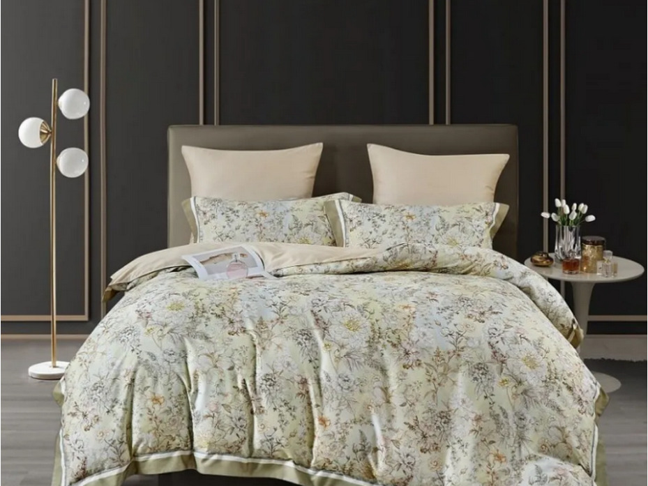 Постельное белье2273-6 фланель Евро сп / Asabella