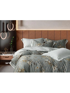 Постельное белье 2156-6 тенсель Евро сп / Asabella