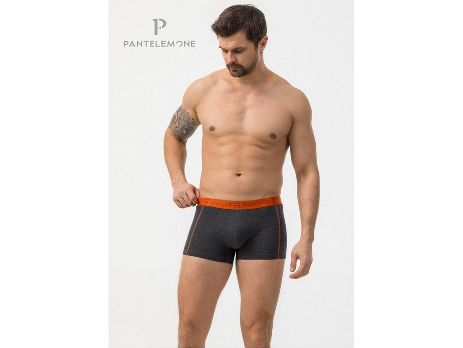 Трусы мужские PMH-1590 / Pantelemone